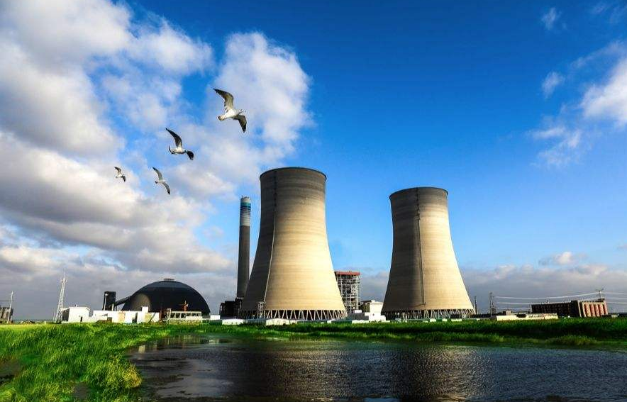 綠色環保 綠色環保